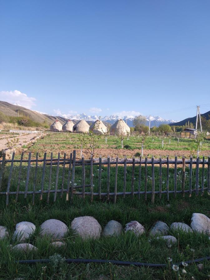 Eco Village Lodge Dzhetyoguz Eksteriør bilde