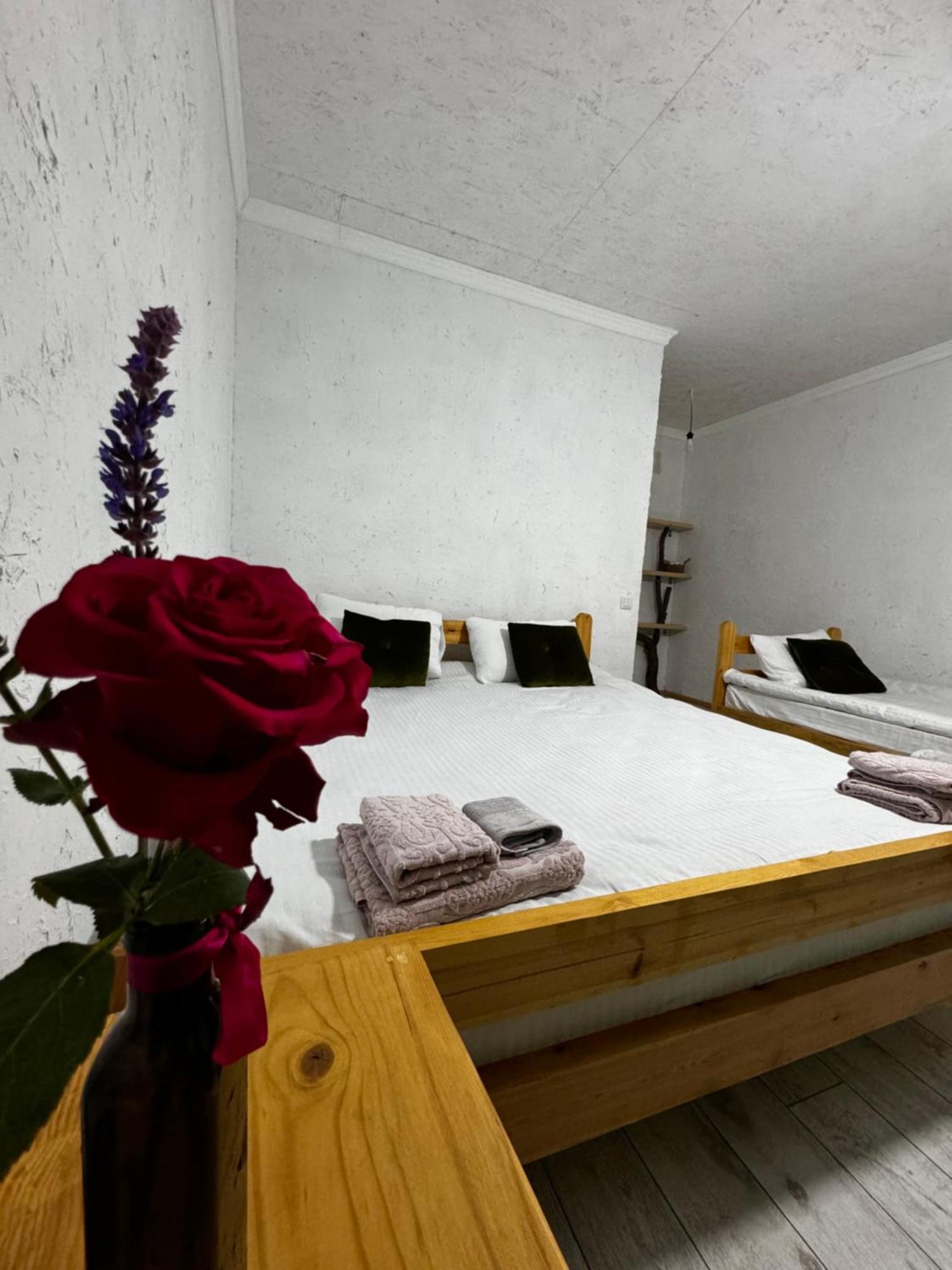 Eco Village Lodge Dzhetyoguz Eksteriør bilde